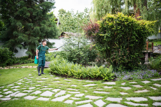 Best Pest Prevention Services  in Brodhead, KY
