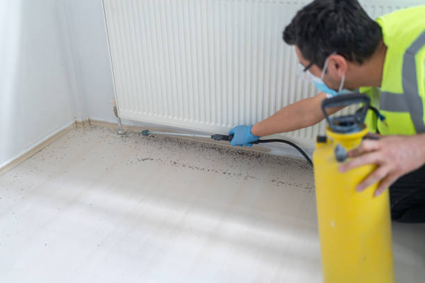 Best Pest Removal Services  in Brodhead, KY